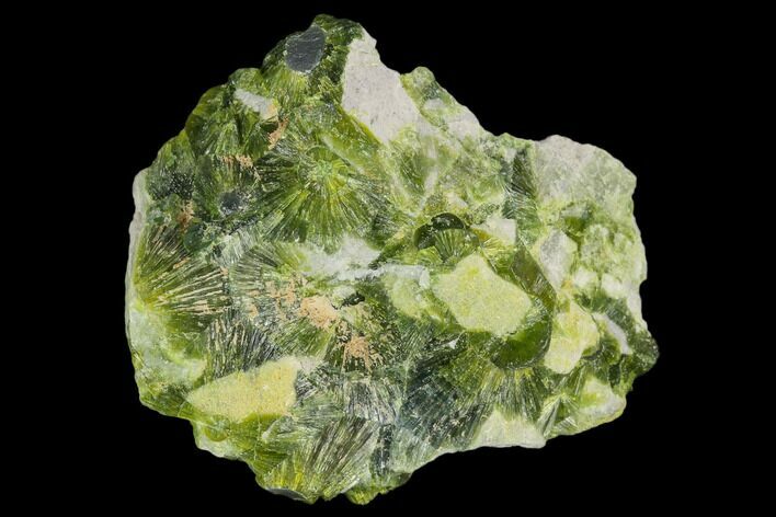 Radiating, Green Wavellite Crystal Aggregation - Arkansas #127133